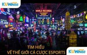 Tìm Hiểu Về Thế Giới Cá Cược Esports