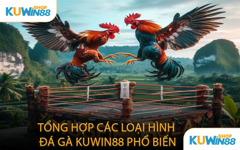 Tổng Hợp Các Loại Hình Đá Gà KUWIN88 Phổ Biến