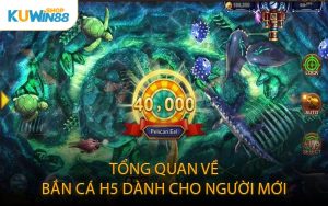 Tổng quan về bắn cá H5 dành cho người mới