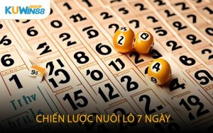 Chiến Lược Nuôi Lô 7 Ngày