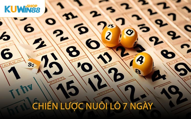 Chiến Lược Nuôi Lô 7 Ngày