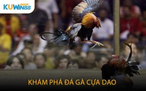 Khám Phá Đá Gà Cựa Dao