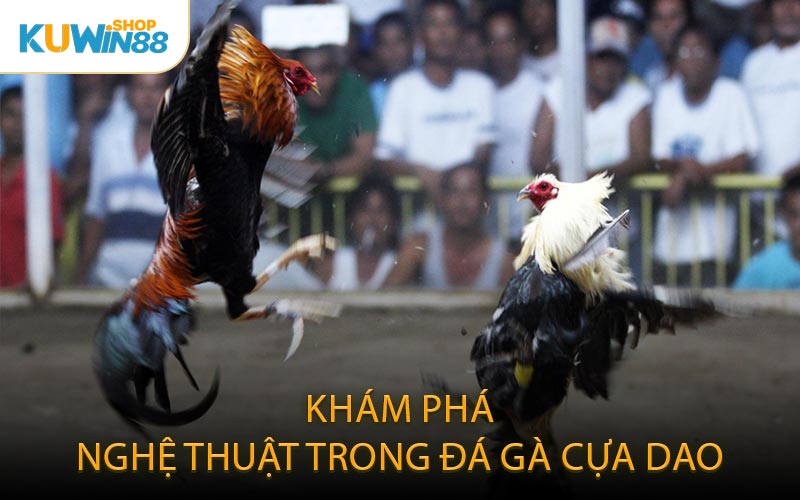 Khám Phá Nghệ Thuật Trong Đá Gà Cựa Dao