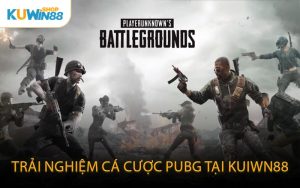 Trải nghiệm cá cược PUBG tại KUIWN88