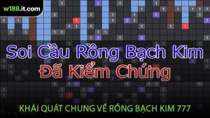 Khái Quát Chung Về Rồng Bạch Kim 777