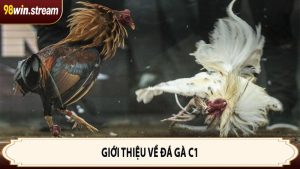 Giới thiệu về đá gà C1